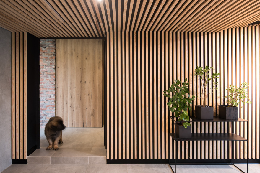 西里西亚之家(Ślonsko 小屋)-19