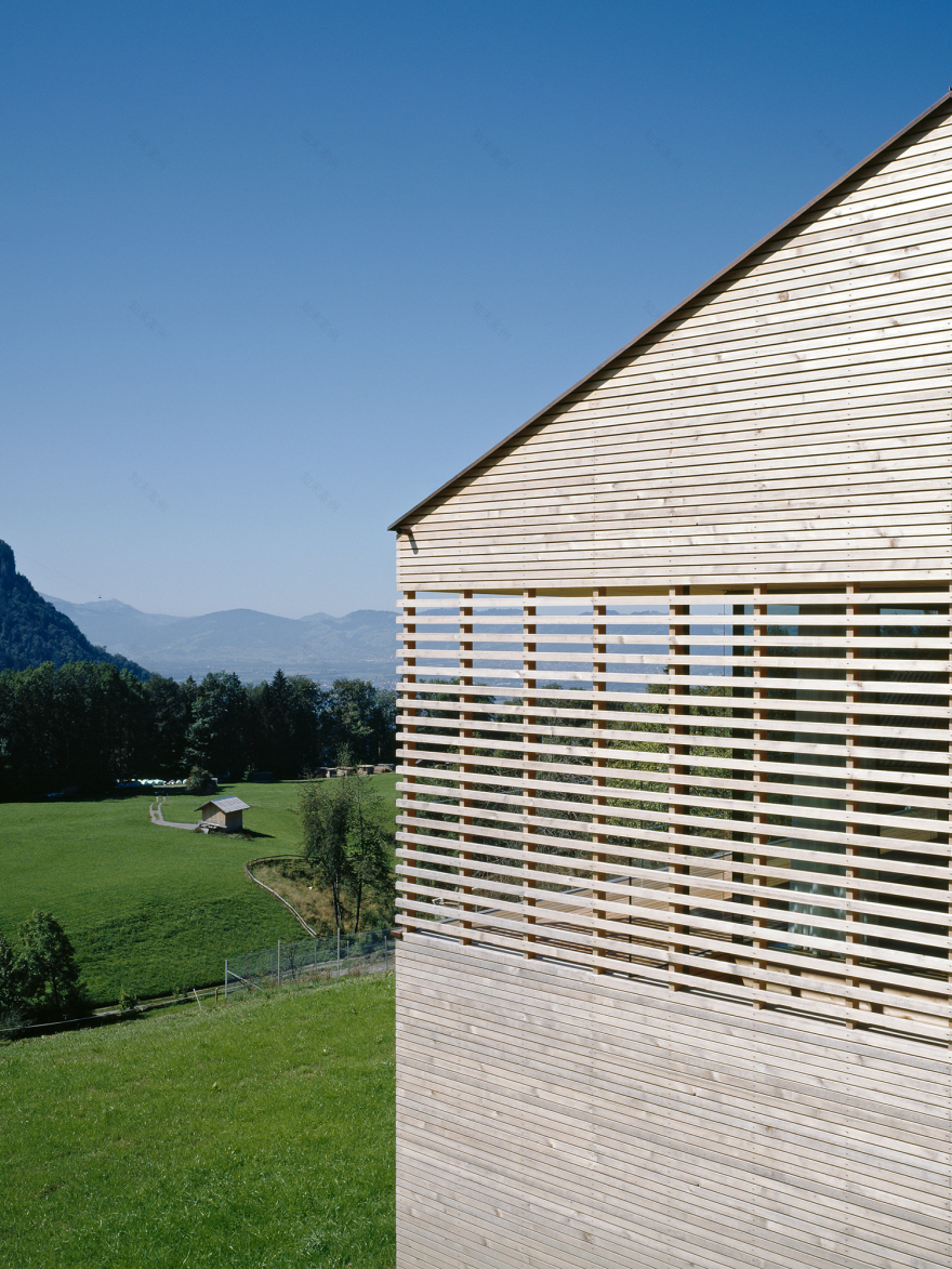 奥地利 Dornbirn 山间别墅-6