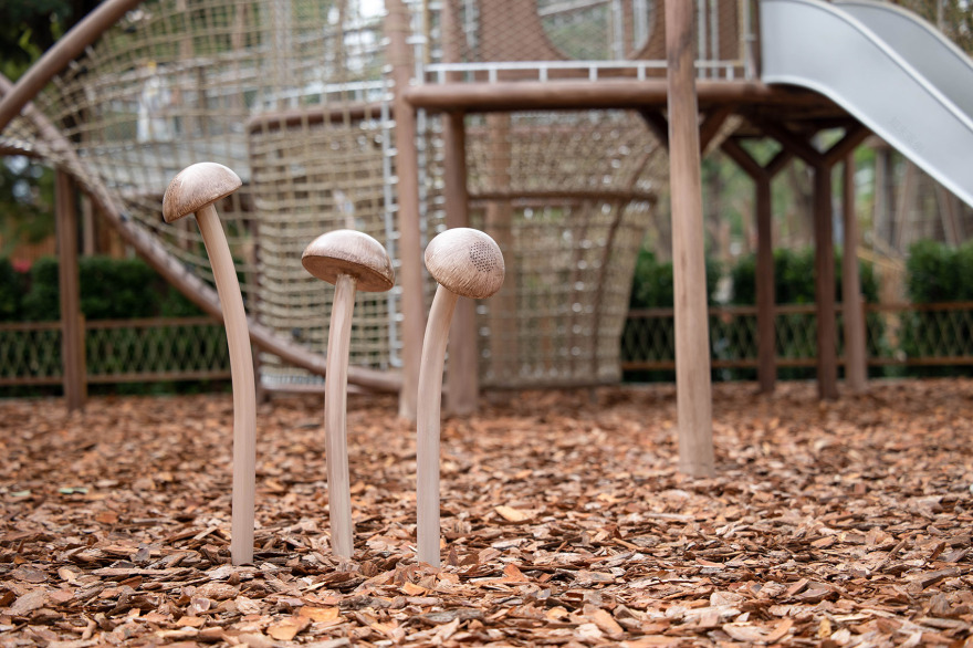 大理洱海生态廊道自然科普乐园丨中国大理丨AHA-64