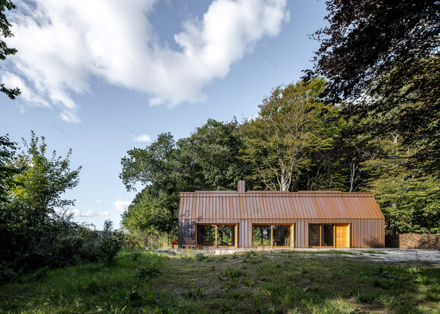 丹麦森林中的作家之家丨SLETH事务所-3
