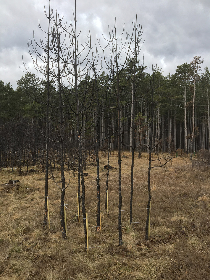 “呼唤希望”沉浸式装置丨奥地利维也纳丨Superflux设计工作室-52