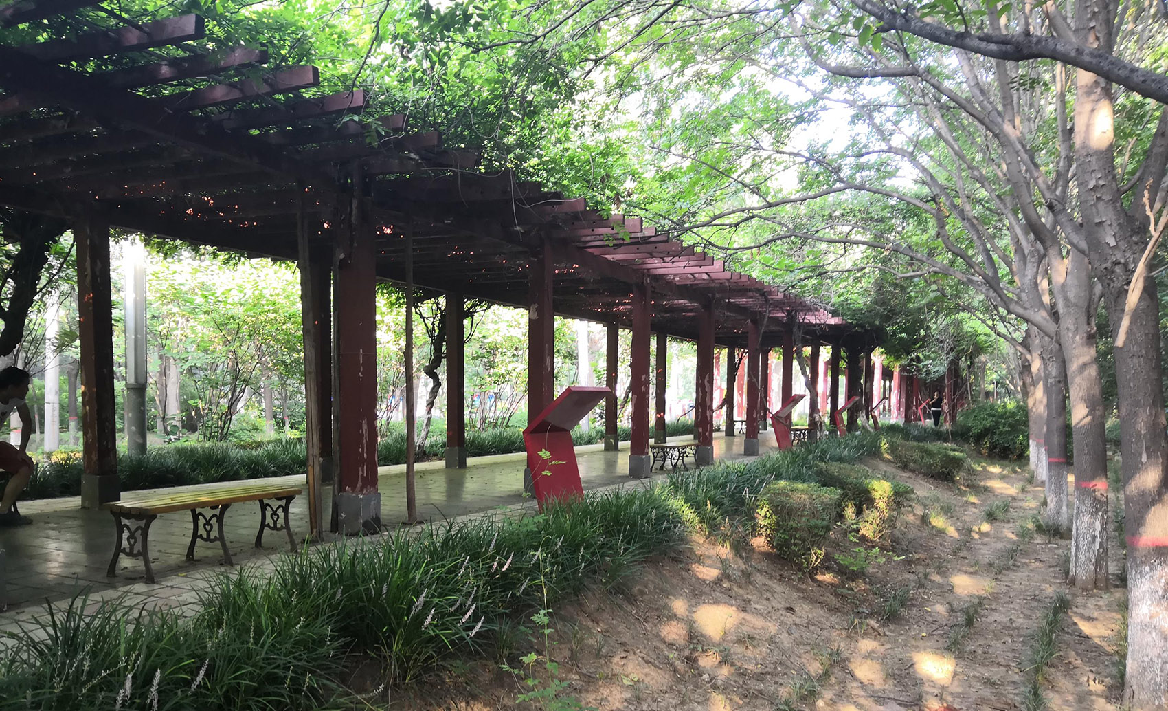 郑州古树苑公园一期景观提升，河南/老树的新生-104