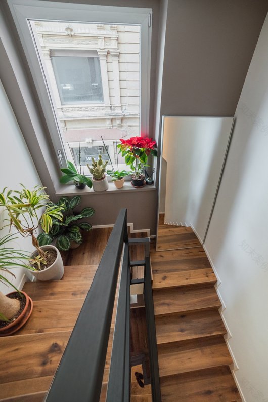 历史中心区独立小楼翻新-21