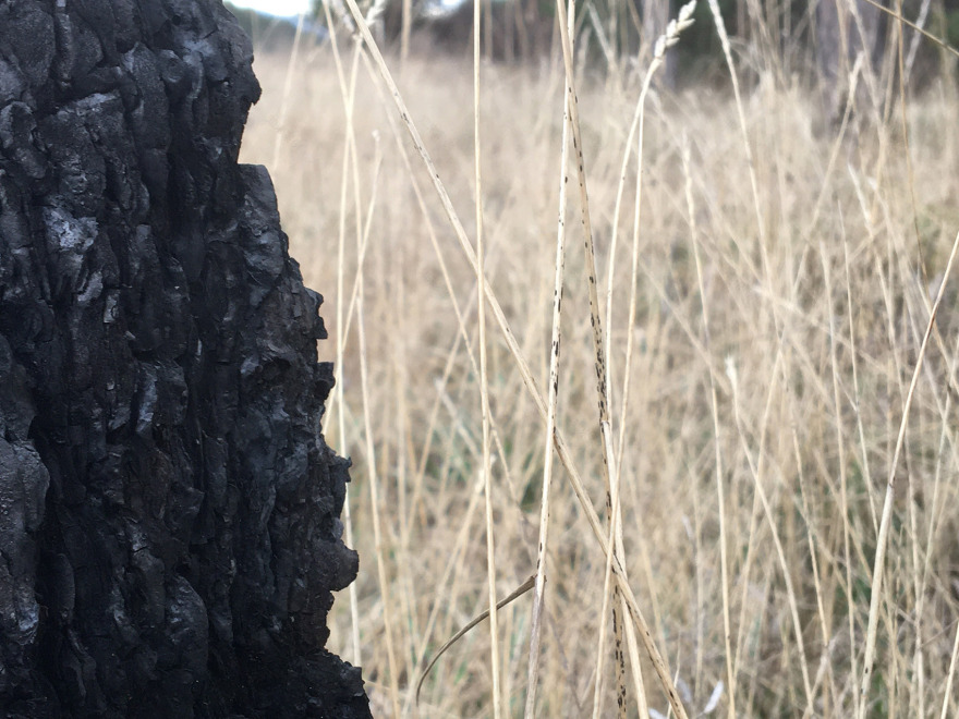 “呼唤希望”沉浸式装置丨奥地利维也纳丨Superflux设计工作室-49