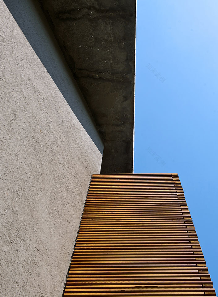 解构主义绿 avocado Grove Residence-19