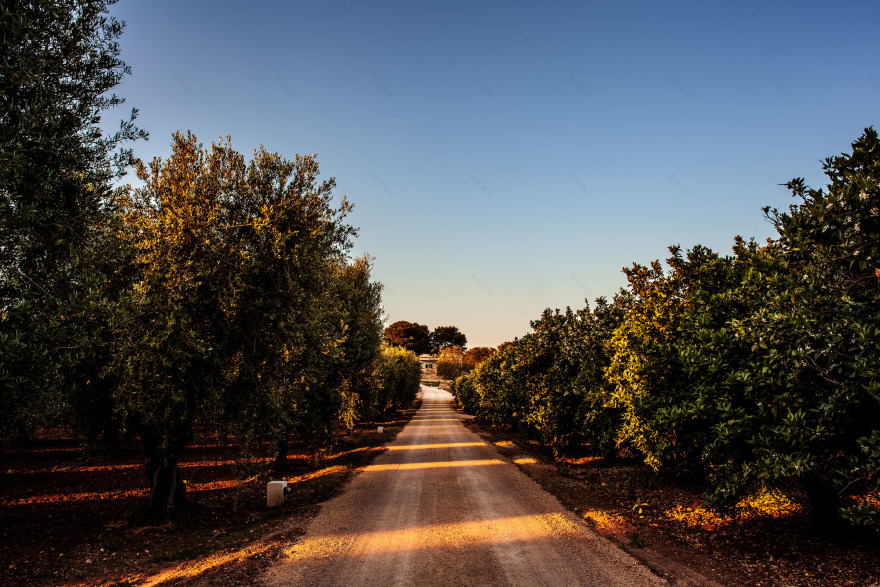 乡间别墅的重生 · 融合传统与当代的意大利风情-55