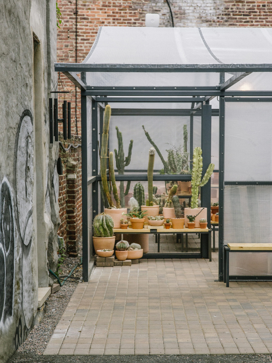 洛杉矶仙人掌商店-5