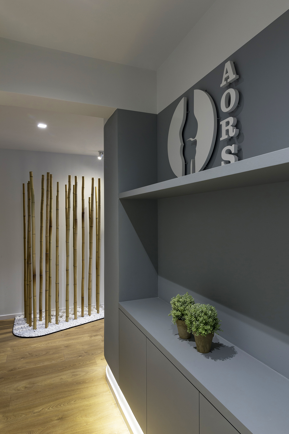 S 形元素分隔功能,60 平米骨科诊所的高效设计-8