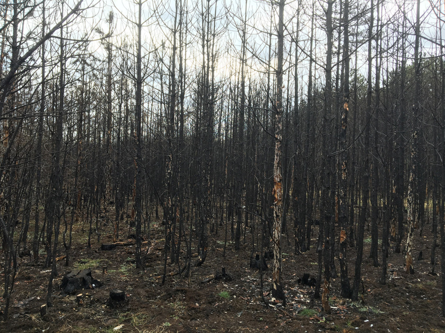 “呼唤希望”沉浸式装置丨奥地利维也纳丨Superflux设计工作室-56