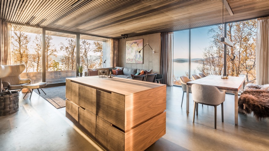 挪威森林中的私密度假屋-8