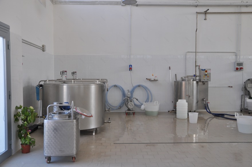 复古车间变身奶酪工坊,手工制作展现纯粹美味-1