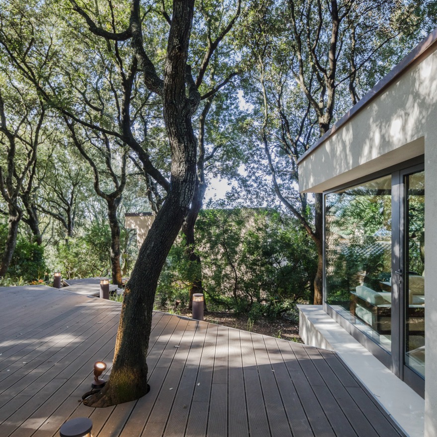 悬浮森林中的别墅-18