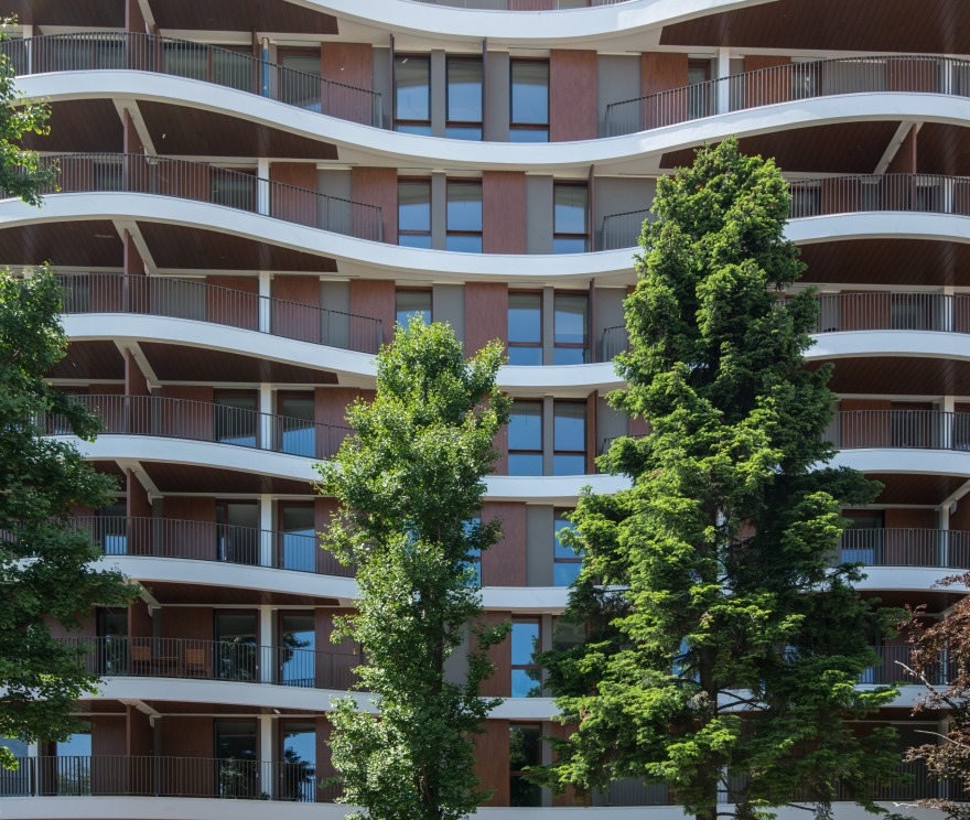 阿尔塞里奥 10-4