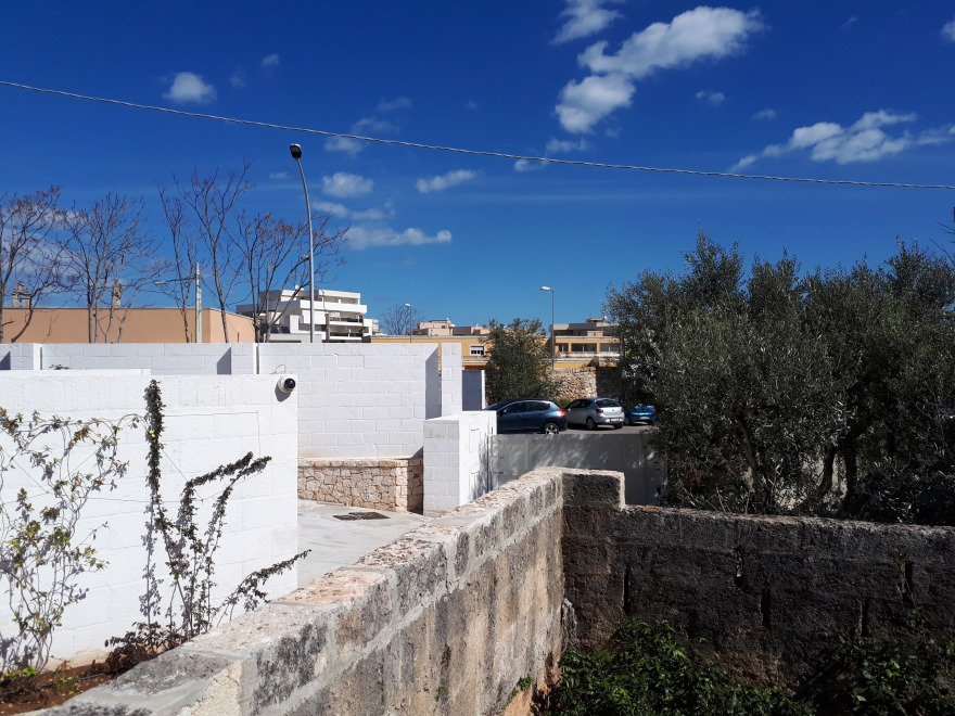 绿意盎然的家庭空间丨意大利-4