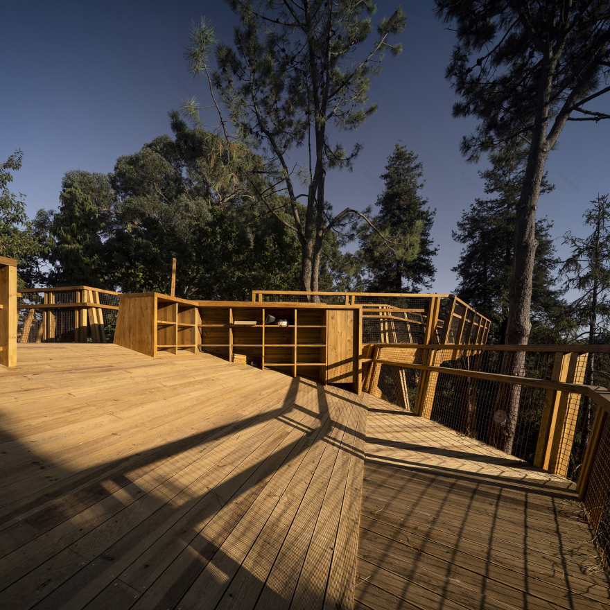 赛拉维斯公园树冠步道丨葡萄牙波尔图丨卡洛斯·卡斯塔涅拉建筑事务所-24