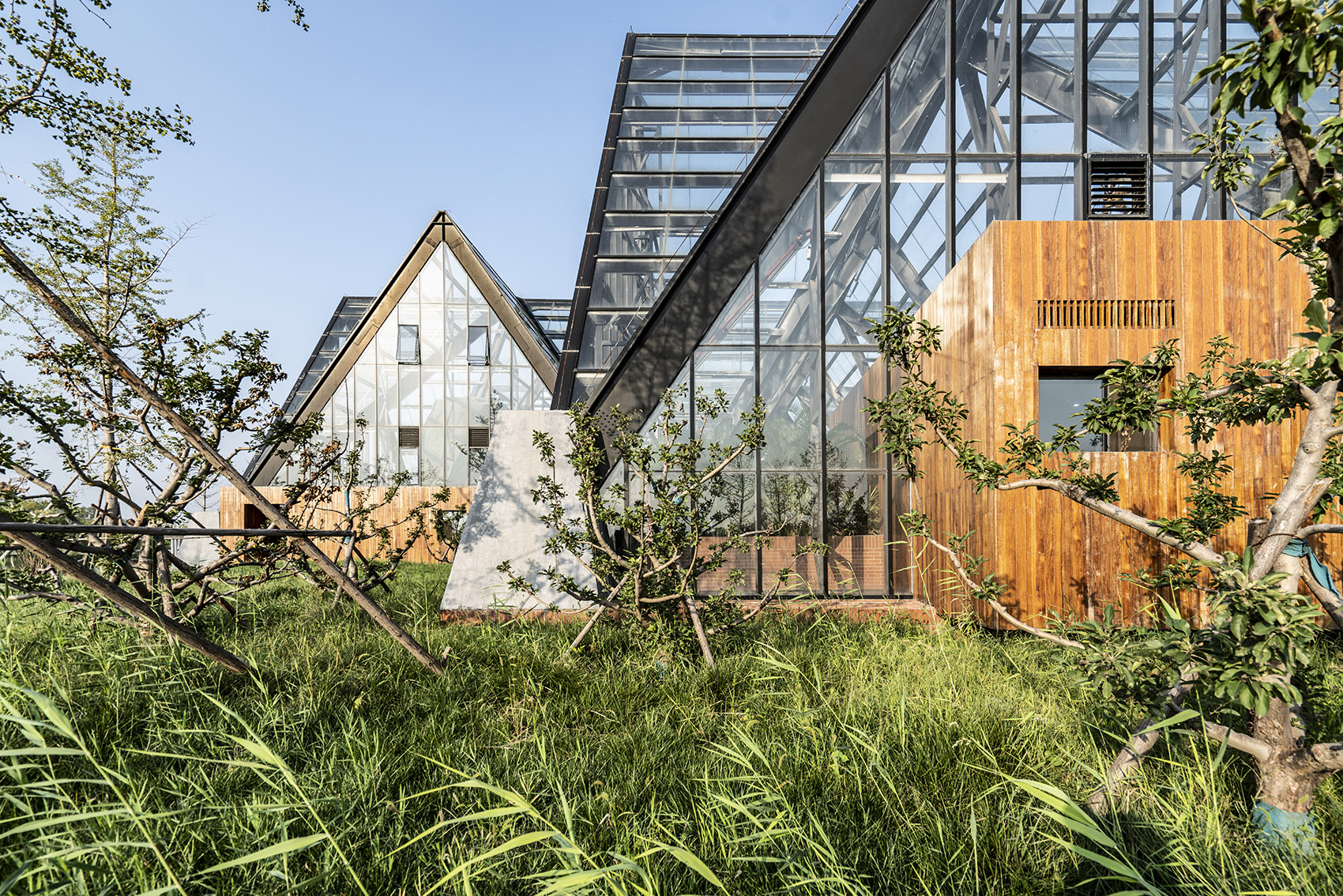 衡水植物园温室展览馆丨中国河北丨空格建筑-43