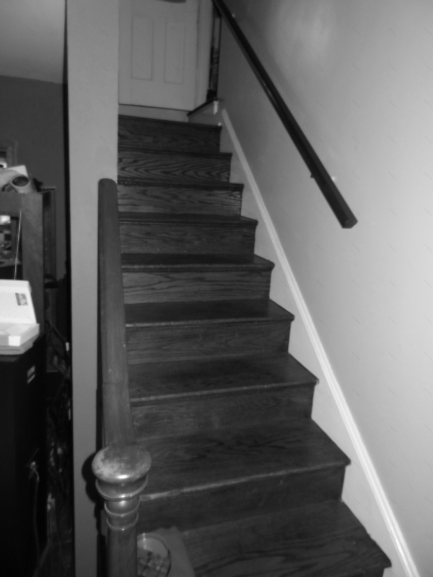 Arlington 老宅新生命,绿色环保现代别墅设计-15