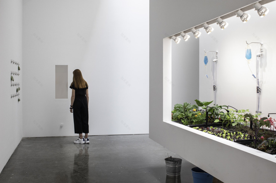 “我们真的有那么不同吗?”城市农场展丨美国纽约丨DS+R-18