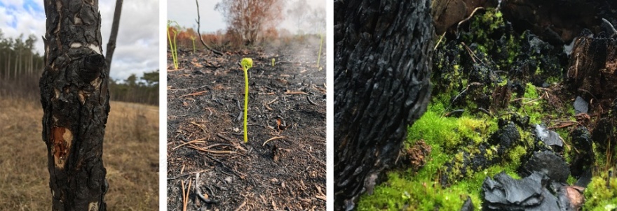 “呼唤希望”沉浸式装置丨奥地利维也纳丨Superflux设计工作室-19