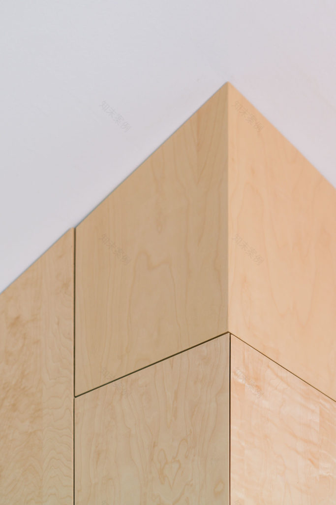 Madrid 中心公寓 | 生活庆典的享乐空间-22