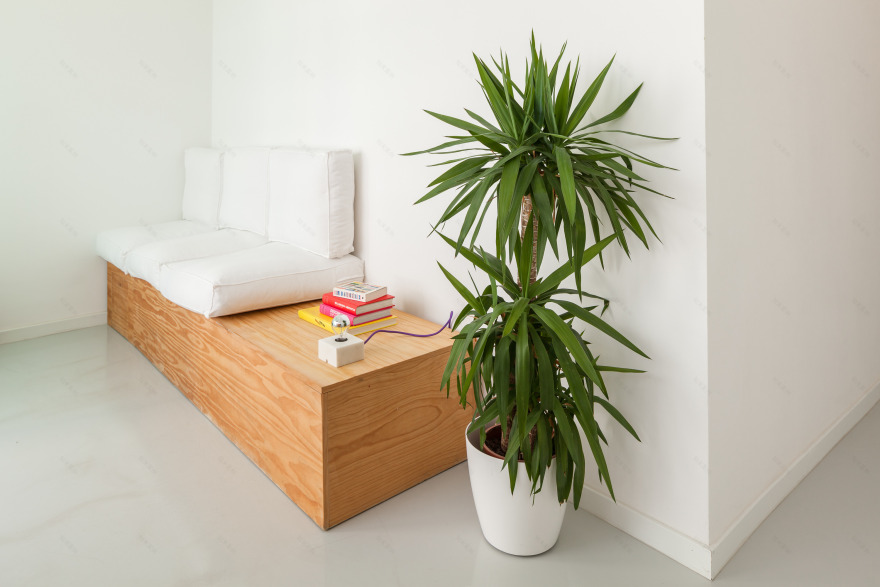 历史小镇的诊所重生 | 葡萄牙 Clínica da Vila 口腔诊所设计-18