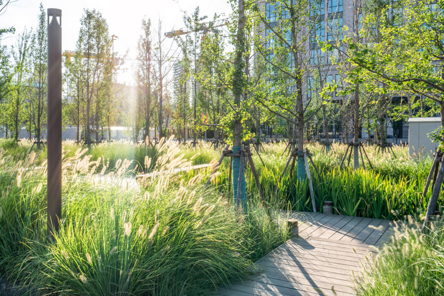 上海杨浦滨江二期绿道 | 工业遗存重生,公共空间扩展-76