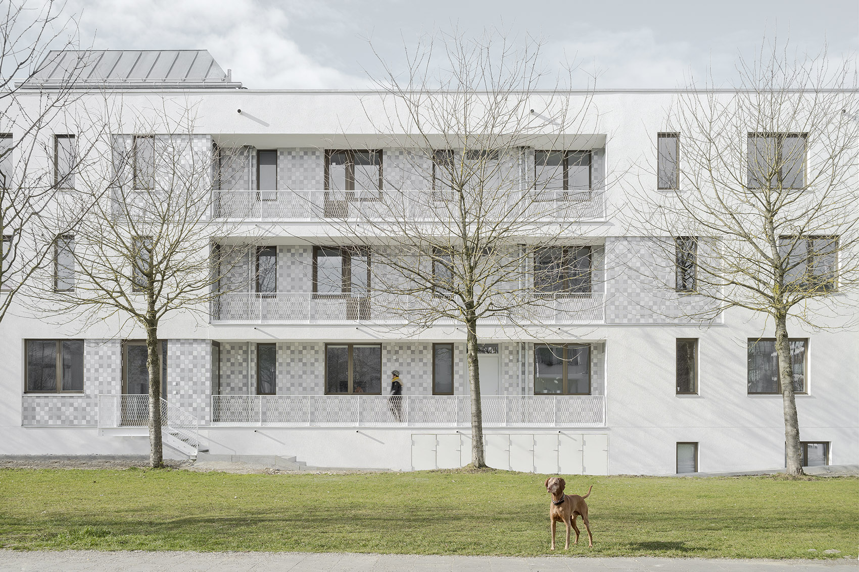 “无车生活”共享公寓楼，慕尼黑/树立居民的意识和环保意识-51