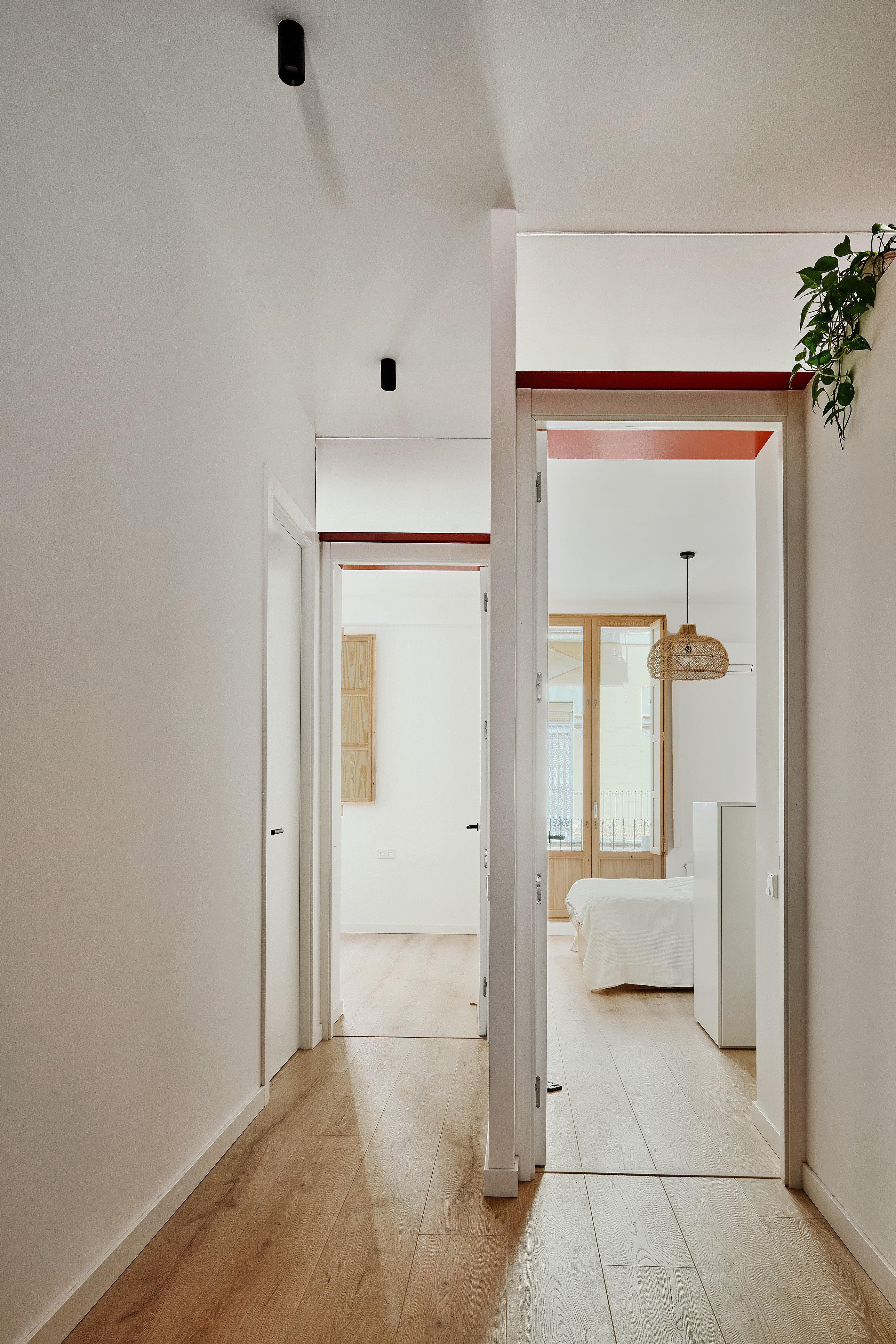 巴塞罗那 Poble Sec 区百年建筑的现代改造丨西班牙巴塞罗那丨estudio CO–A-11