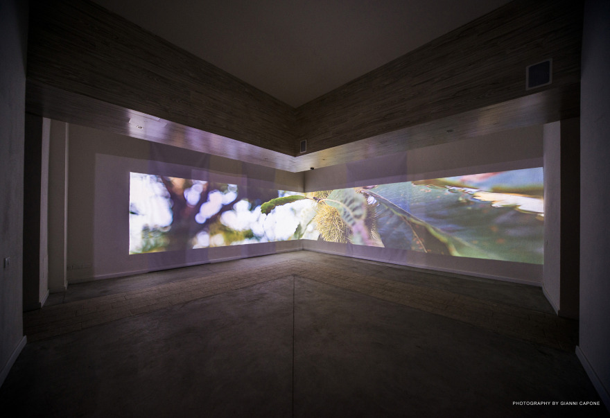 穿越五感的意式 Castagna IGP 博物馆设计-17