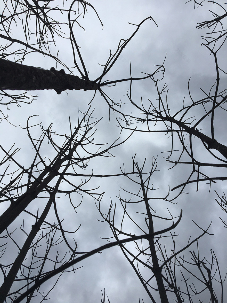 “呼唤希望”沉浸式装置丨奥地利维也纳丨Superflux设计工作室-63