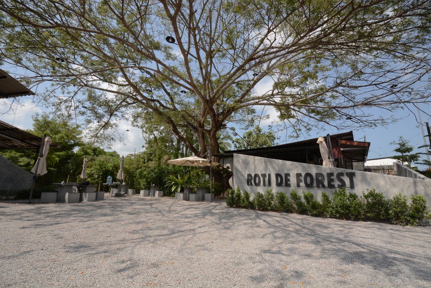 森林中的旋转餐厅“Roti de Forest”-24