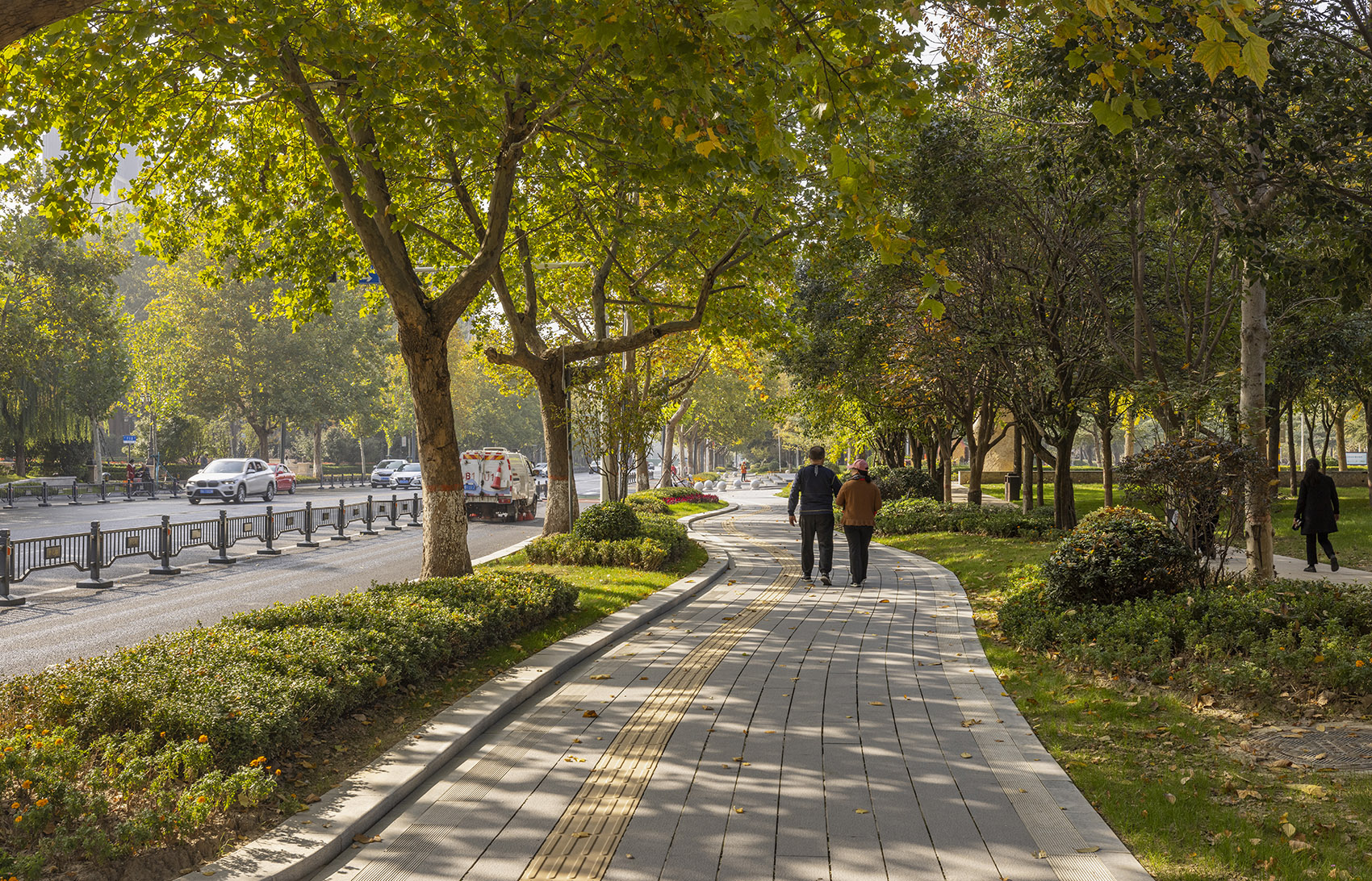 郑州古树苑公园一期景观提升，河南/老树的新生-83
