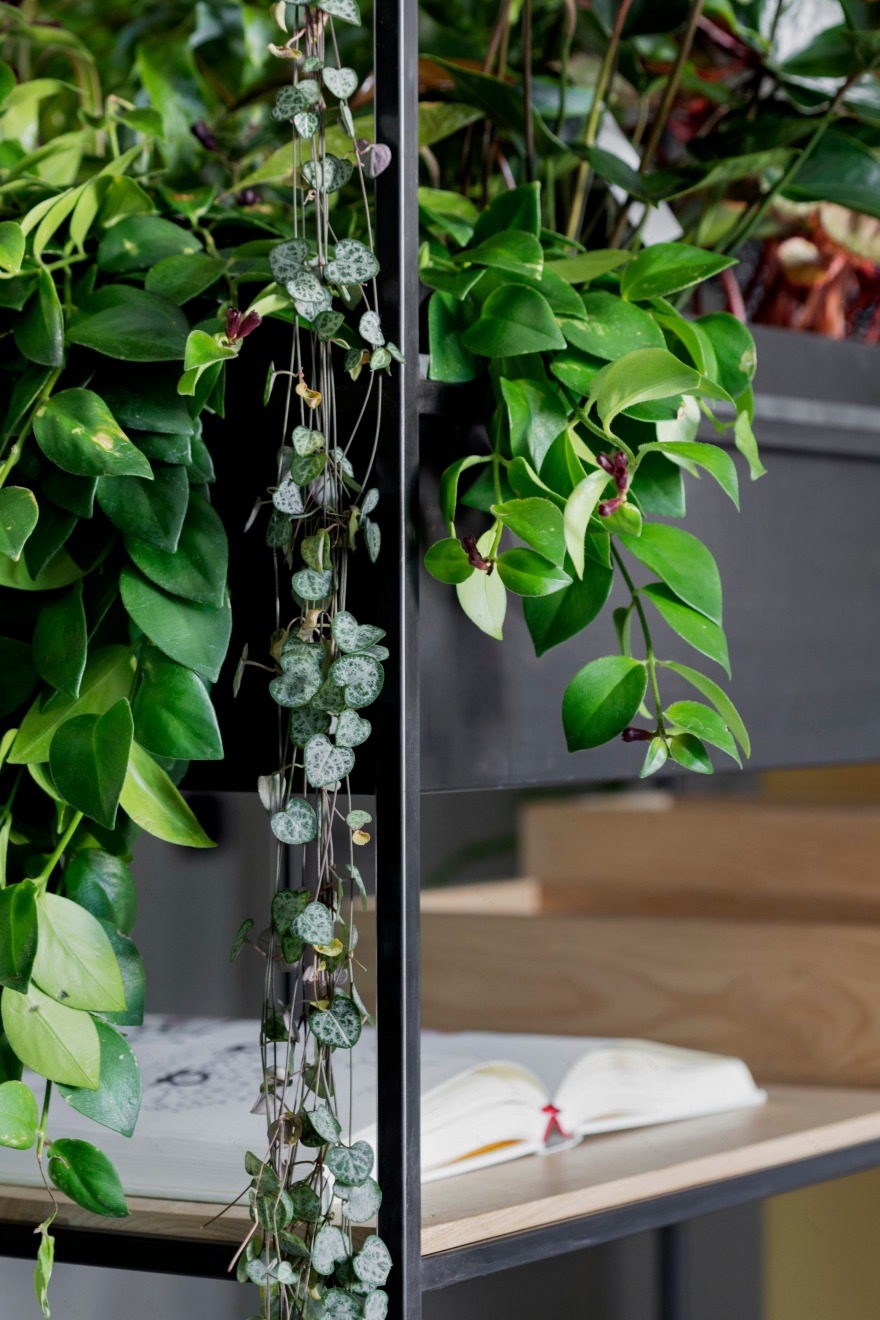 翻新公寓 | 打破严谨格局,打造非正式空间-25