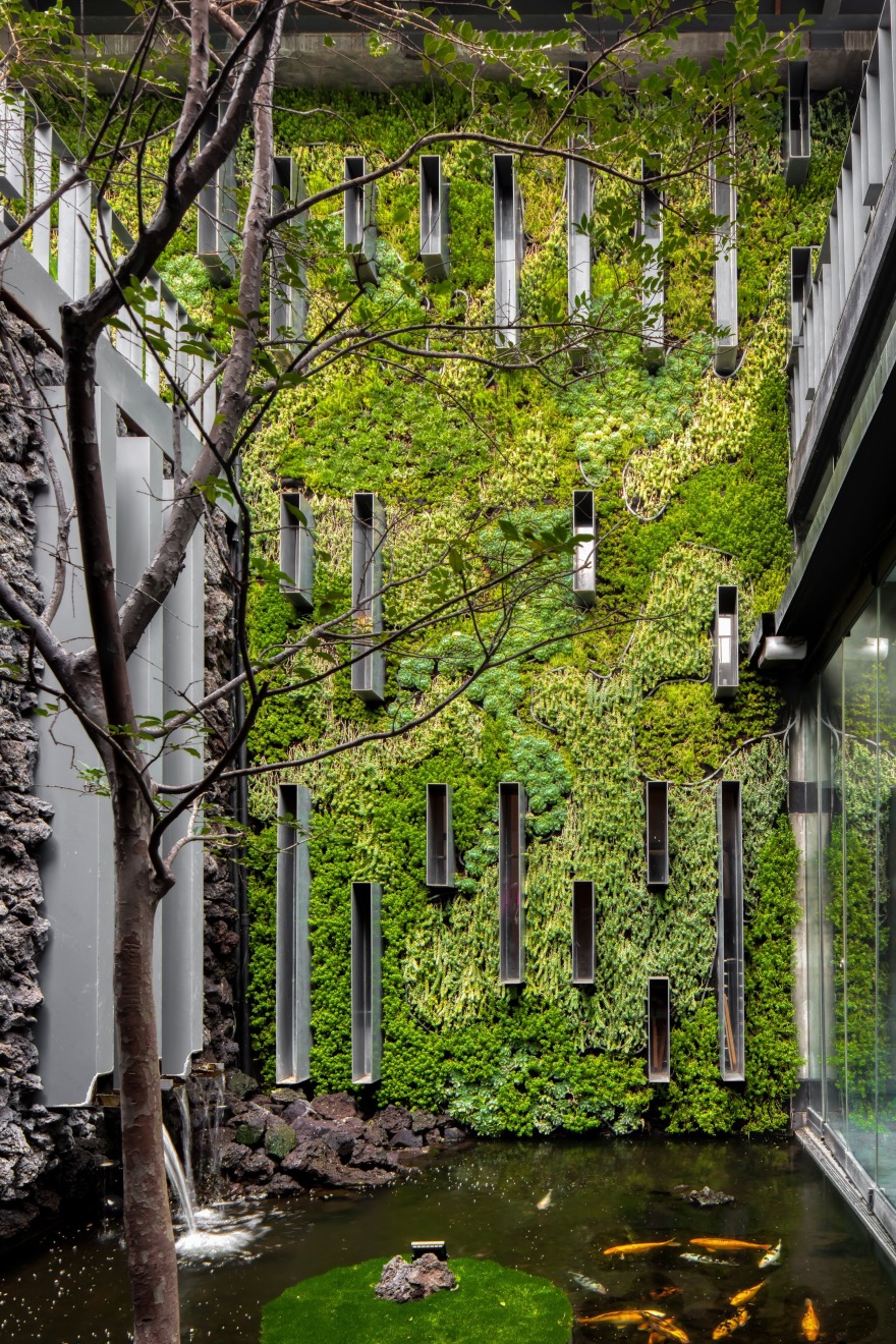 墨西哥 Casa Espejo Verde 垂直花园丨Daniel Gómez Bilbao-7