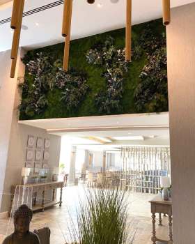 GREEN WALL for KANIKA | OLYMPIC LAGOON RESORT