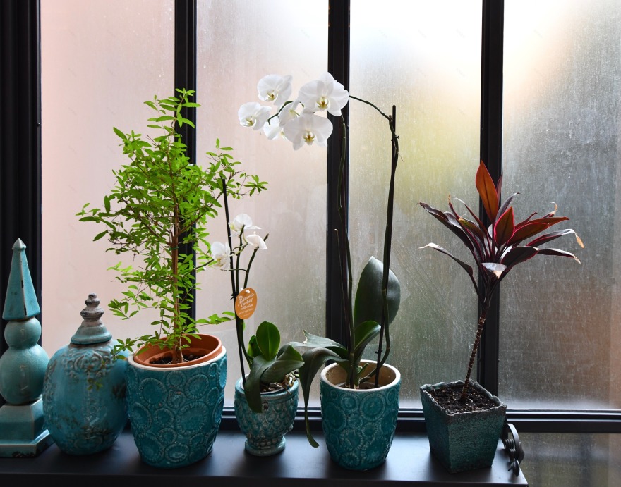 罗马市中心 220 平米地下一楼翻新设计-13