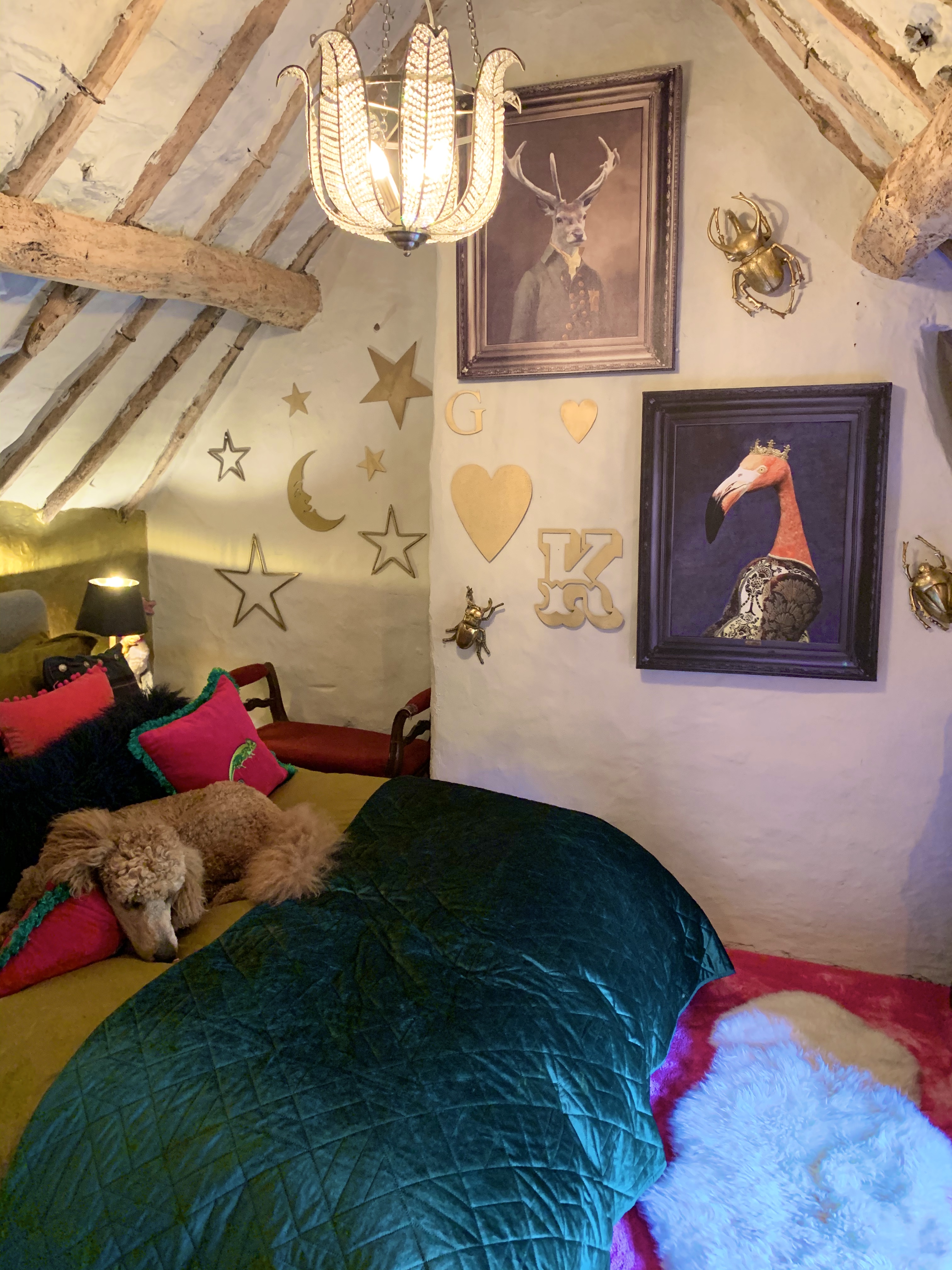 梦幻别墅大变身 · 百年古宅的圣诞奇迹丨英国牛津-1