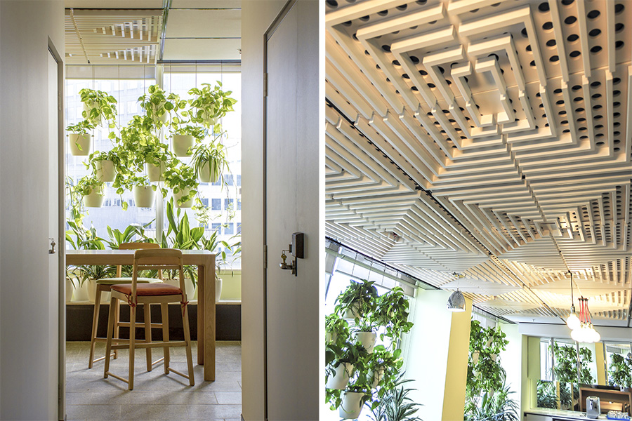 墨尔本 EquipSuper 办公室的绿色环保设计-9