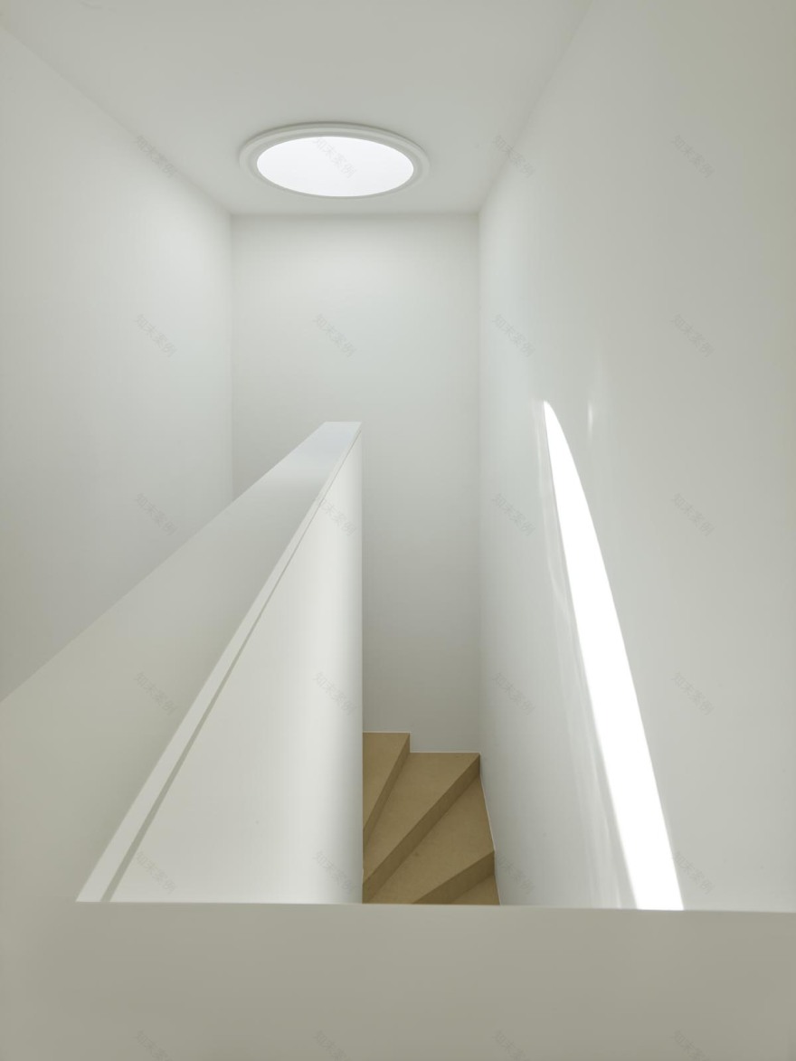 弗兰肯别墅的简约美学与精致景观-6