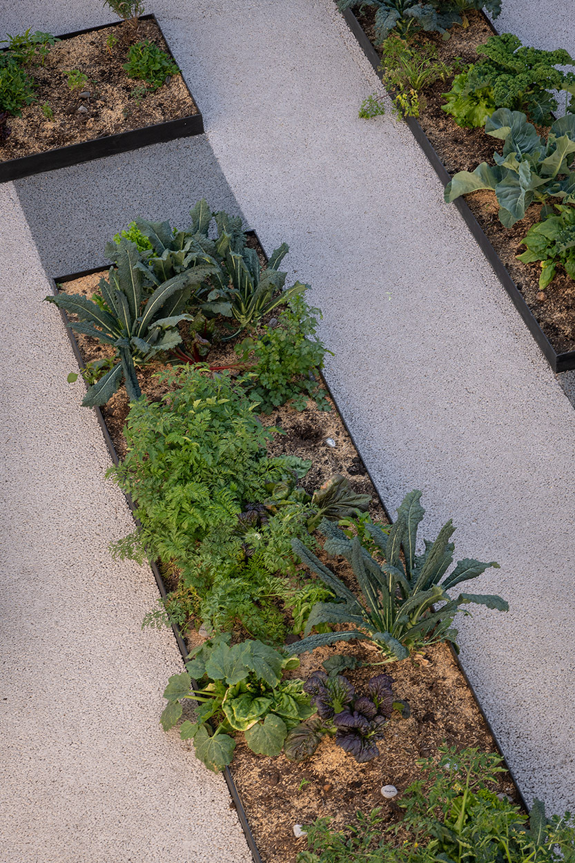 墨西哥环保校园农场设计-19