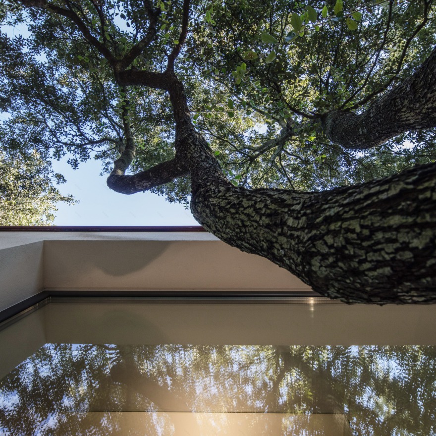 悬浮森林中的别墅-20