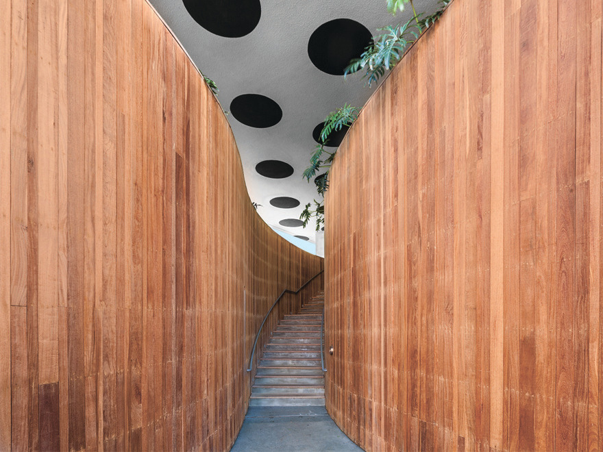 巴西创意艺术学院-0