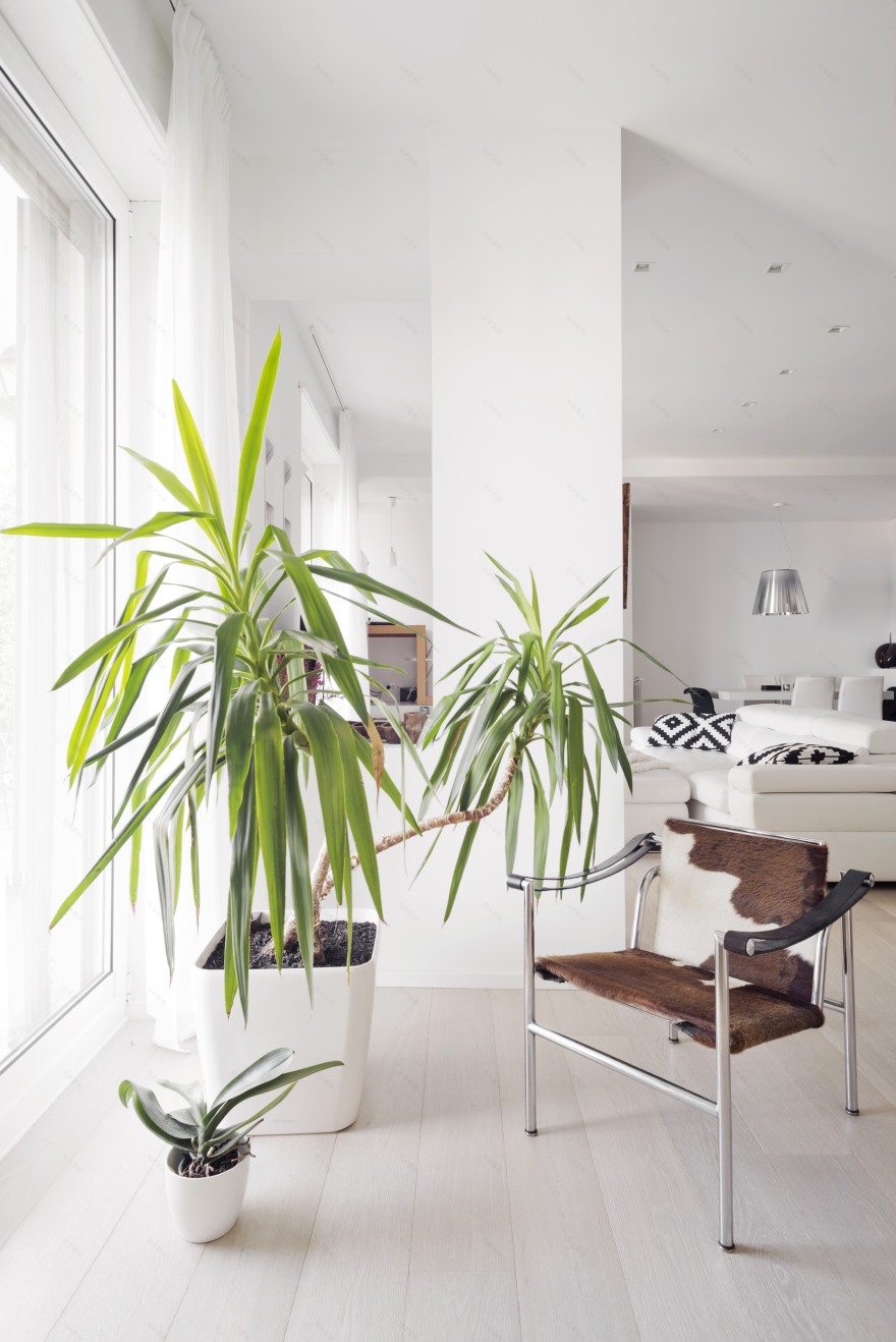 地中海风格的 Casa Petra 别墅设计-2