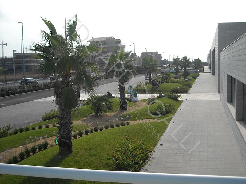 Sistemazione aree piscine Polo Natatorio F.I.N. - Lido di Ostia-1