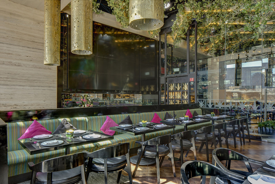 坎蒂娜·拉 20 号-10