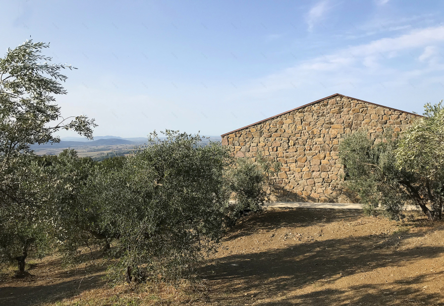 嵌入山丘的简约之家-3