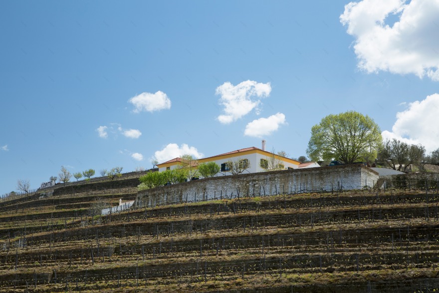 葡萄牙杜罗河谷的 Quinta da Côrte 酒店设计-58