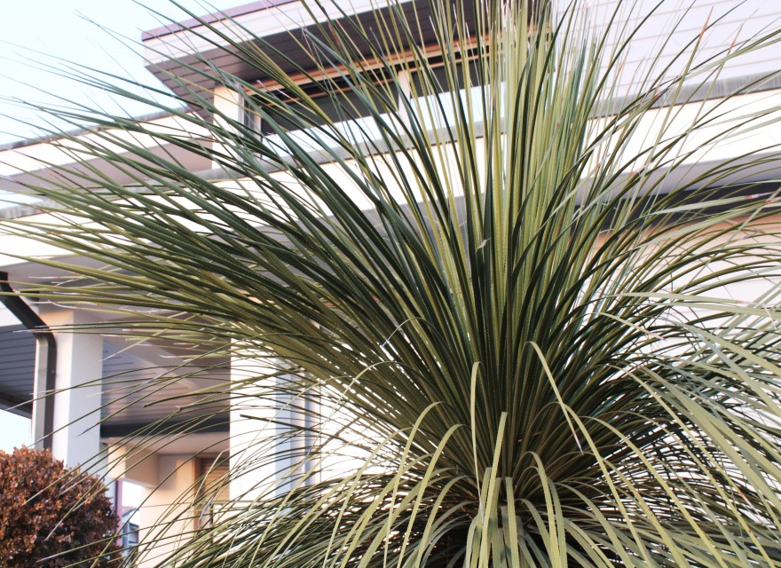 80 年代别墅翻新,白色光影演绎现代生活-10