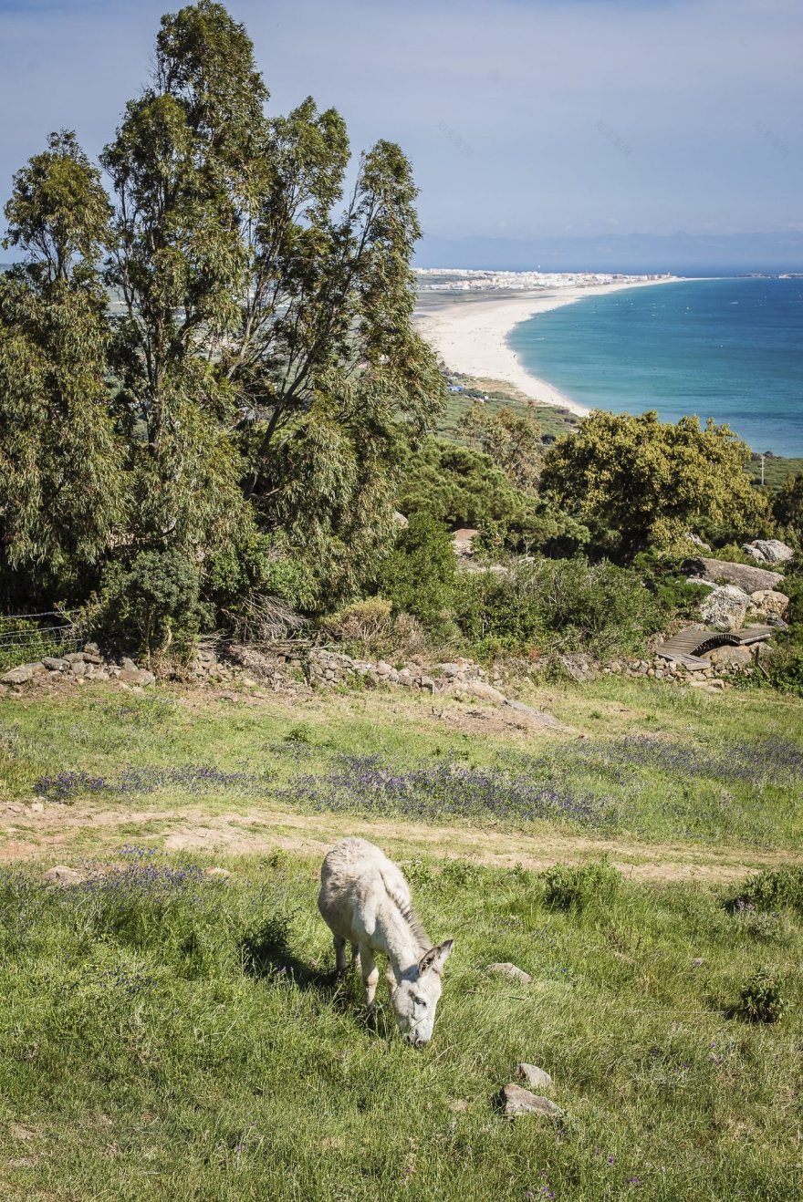 风之庇护的小石屋-9