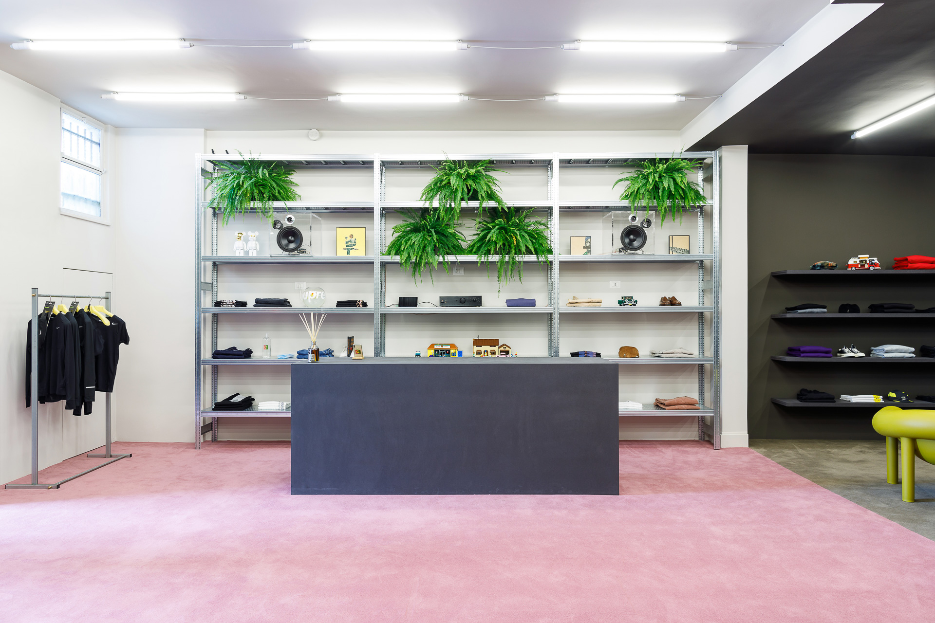 公民的;市民的-0